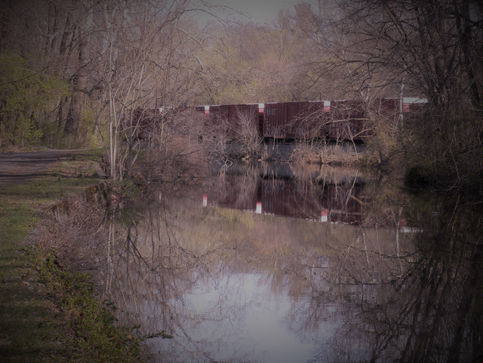 Gratitude Friday 3/19/21 - Walking My Way Into Recovery in the 80s