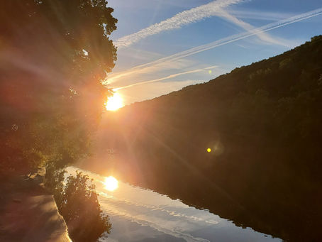 Gratitude Friday 02/17/23 – Lost Generation Writers