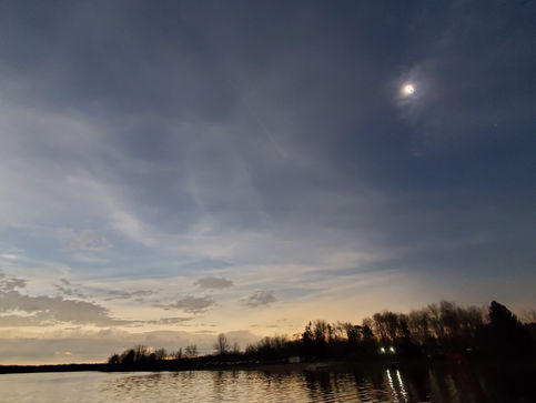 Gratitude Friday 8 15 25 Reading as a Path to Freedom