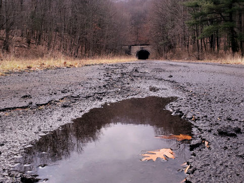 Gratitude Friday 08/13/21 - The Long Walk of Empathy