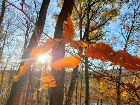 Gratitude Friday 1 10 25 - Stage Not Age