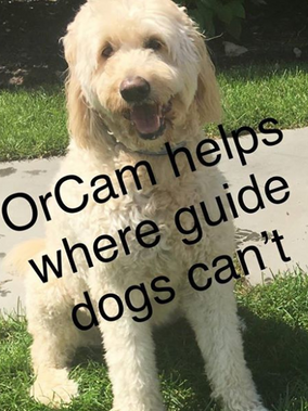 OrCam Helps Where Guide Dogs Can't
