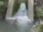 How much customer money went down the drain to keep Thames Water out of Special Administration?