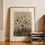 Miniaturbild: Botanik-Poster: Schwarz-weisses Bild von Pusteblumen