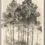 Miniaturbild: Wald-Poster: Morgendämmerung im Forst