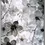 Miniaturbild: Florales-Poster: Blüten in Schwarz-Weiss-Schattierung.