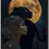 Miniaturbild: Panther-Poster: Frau und Panther vor Vollmond