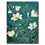 Miniaturbild: Blumen-Poster: Weisse Blumen auf türkisem Hintergrund.