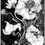 Miniaturbild: Poster: Schwarz-weisse Blumenillustration, detailreich.