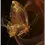 Miniaturbild: Goldener Schmetterling, abstraktes Schmetterling-Poster