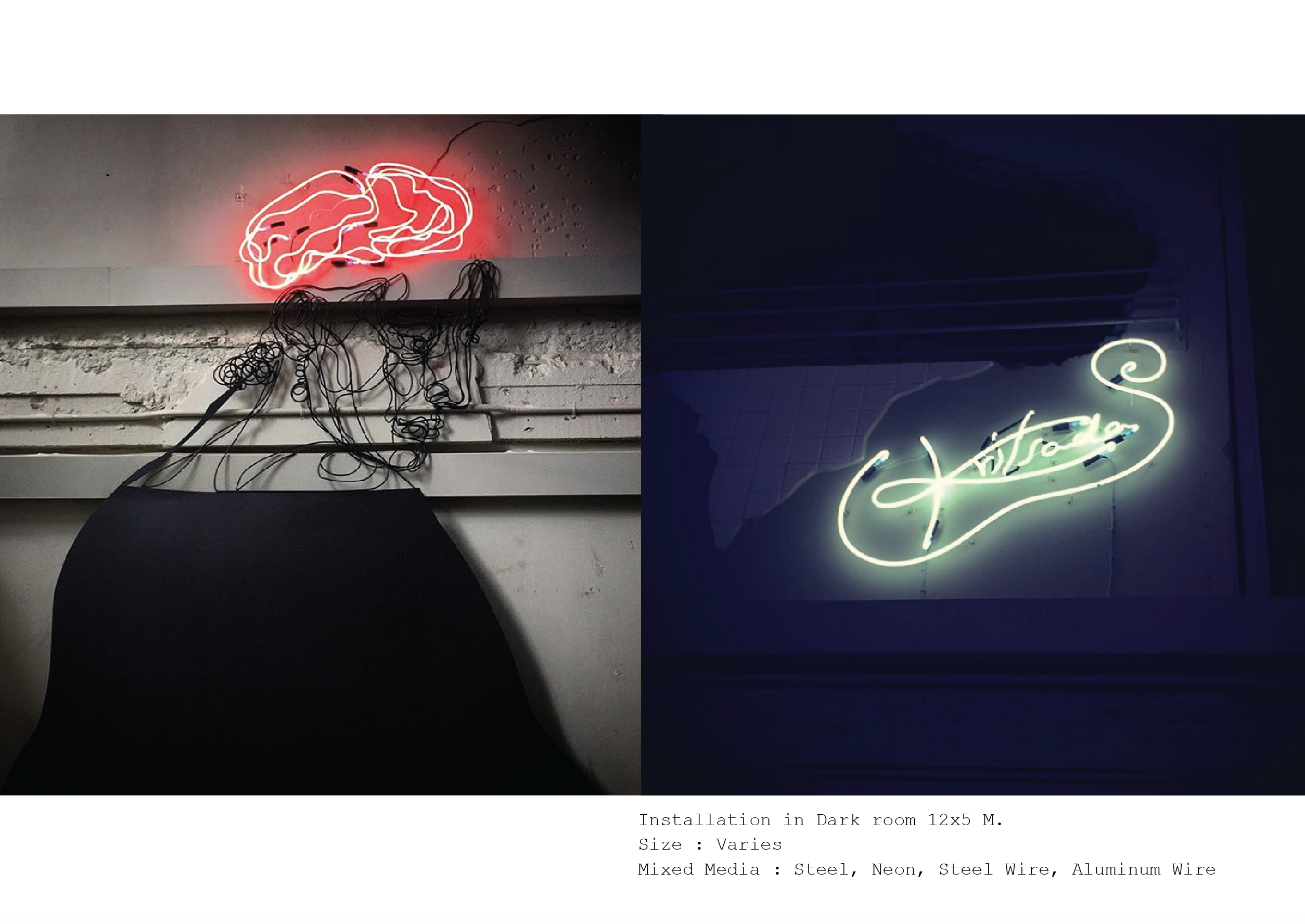 Installation in Dark room 12x5 M.