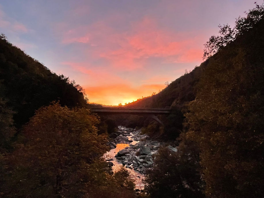 WhatsApp Image 2022-11-08 at 2.58.50 PM.jpeg