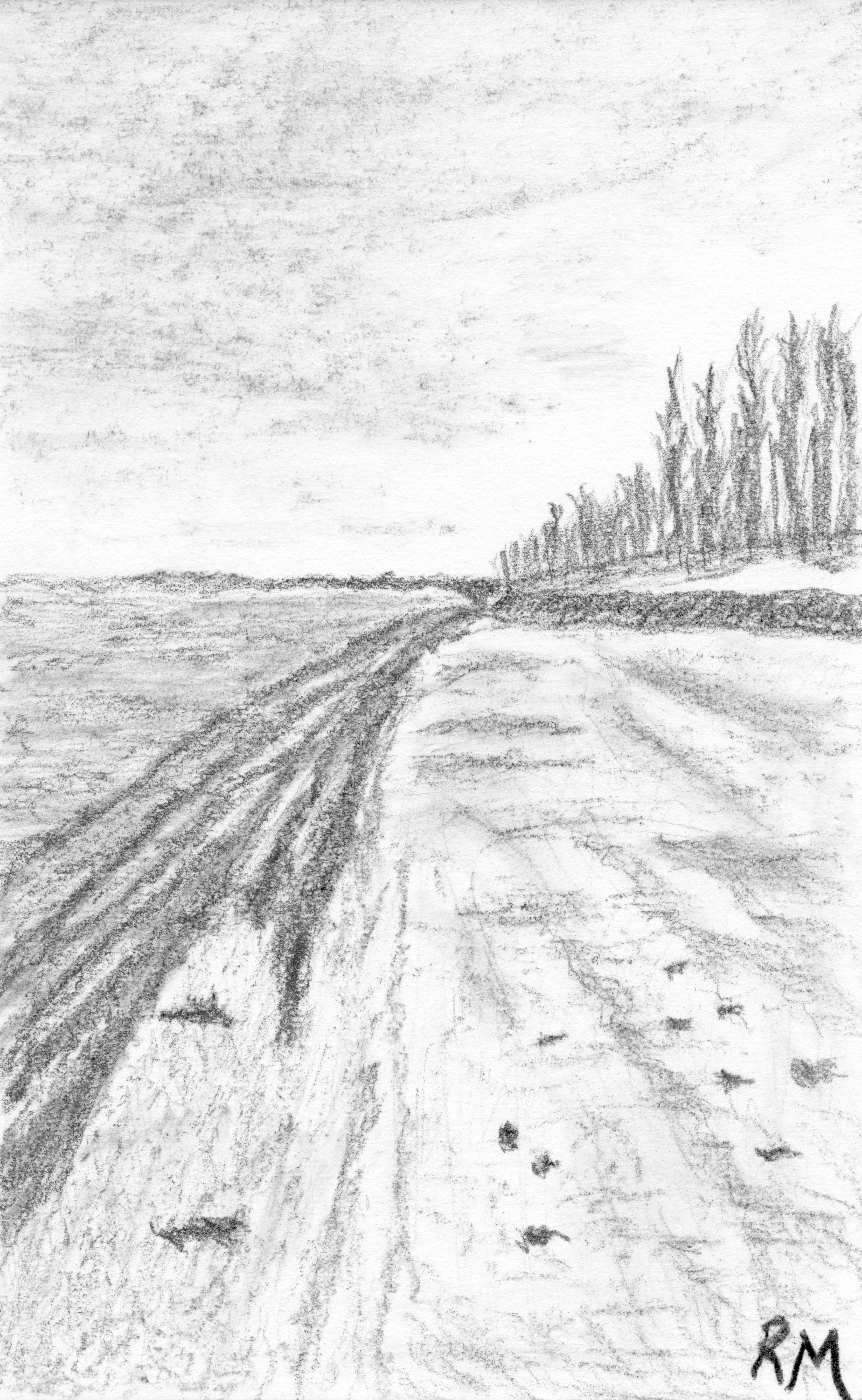 Original Charcoal/Pencil Drawing (Framed) - Presque Isle Beach, Erie, PA, USA
