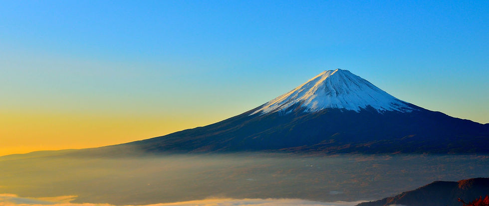 思高就職背景