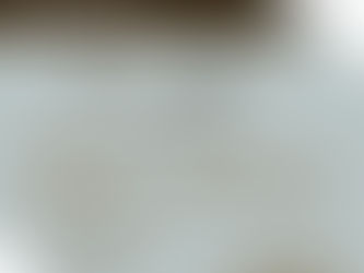 Participação da Dra. Sheila Lustoza em palestra na OAB/RJ sobre "As Inovações do Projeto Anticrime"