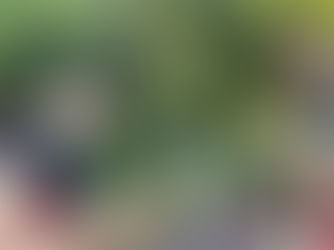 A Well-Paced Two-Night Retreat Framed by Gentle Surroundings and Natural Calm