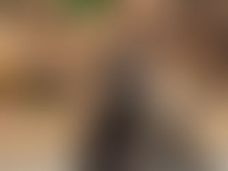 Thank You for Your 4-Day Adventure in Khao Sok!