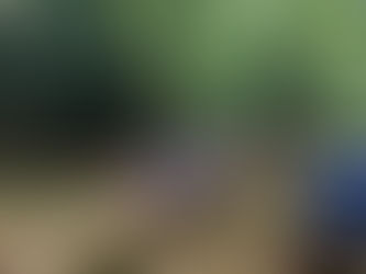 An Incredible 3 Days at Khao Sok