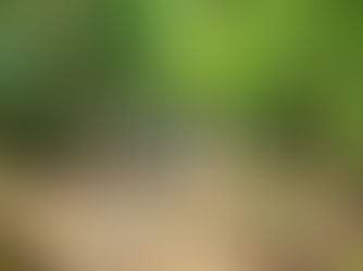 A Restful Stay Floating Between Sky and Limestone Cliffs