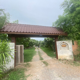 ขายบ้านทรงไทยพร้อมที่ดิน 1 ไร่ บรรยากาศรีสอร์ต วิวทุ่งนา จังหวัดลพบุรี