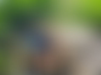 Thank You for Choosing The Laguna Chiewlan Resort