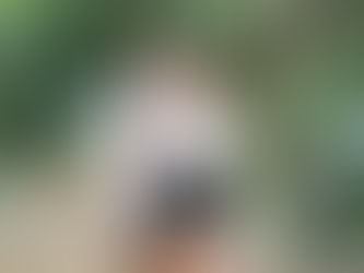 Cherishing Your Stay at Khao Sok & the Lake