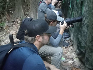 Discover the Wonders of Khao Sok: Birdwatching Experience