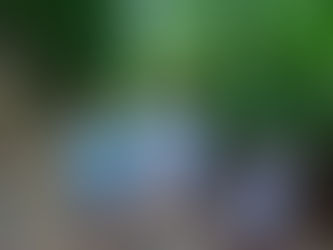 Thank You for Your Family Adventure in Khao Sok!