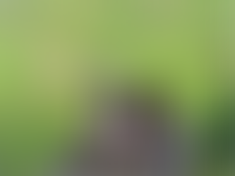 Thank You for Your Stay at The Laguna Chiewlan