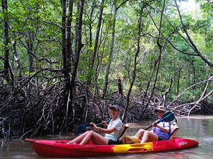Exploring Koh Yao’s Hidden Mangrove Channels – A Gentle Kayak Journey