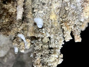 An Unhurried Evening Where Calm Surroundings Set the Tone for Rest