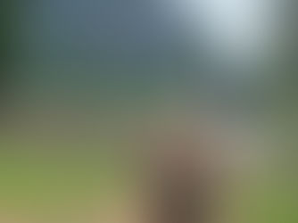 Thank You for Exploring Khao Sok & Cheow Lan Lake with Us