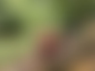 Thank You for Being Part of Our 3-Day Nature Escape