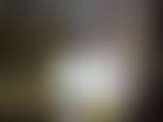 Experience Wilderness in 4 Days, 3 Nights