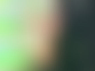 Exploring the Forest After Dark on a Night Trek in Khao Sok