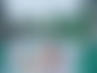 Thank You for Your One Day Coral Trip