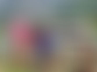 An Unforgettable 4-Day Escape to Khao Sok & Cheow Larn Lake!