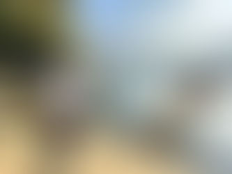 Your Upcoming Adventure at Khao Sok & Lake Stay: 3 Days of Discovery