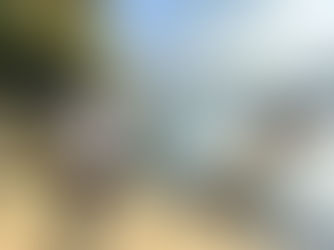 Your Upcoming Adventure at Khao Sok & Lake Stay: 3 Days of Discovery