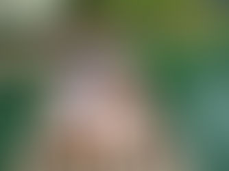 An Unforgettable Luxury Escape Awaits You in Khao Sok!