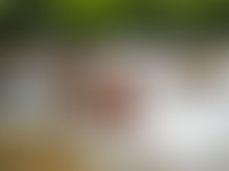 Thank You for Your 3D2N Cheow Lan Lake Adventure at 360 Issara Floating Resort!(2834)