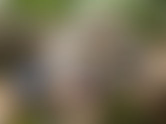 A Restful Night Where Nature’s Simplicity Brings a Sense of Balance