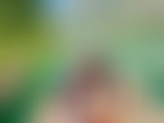 A Touch of Floating Luxury on the Lake