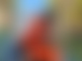 A Floating Sanctuary Amid Emerald Waters and Limestone Peaks