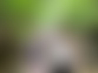 Your Klong Ka Rafthouse Adventure: 3 Days, 2 Nights