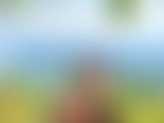 Nature’s Gentle Rhythm at Praiwan Raft House