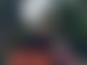 Adventure Awaits: Khao Sok & Cheow Larn Lake!