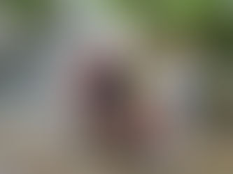 Thank You for an Unforgettable Group Stay on the Lake