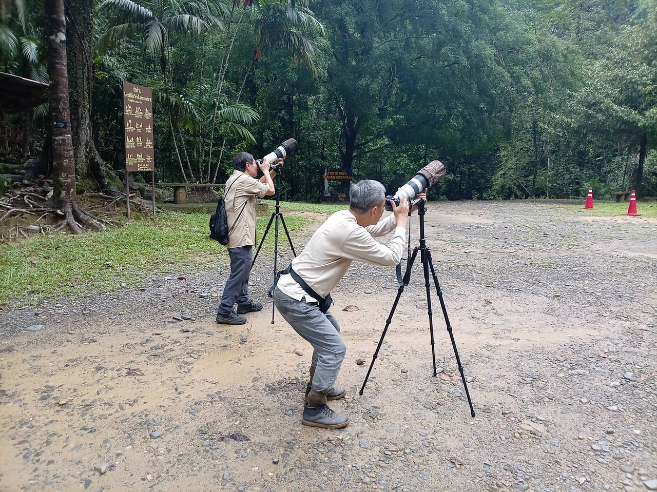 Birds watching in Sri Phang-Nga and Krung Ching 4 days 3 night