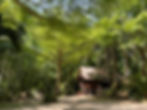3 Days 2 Nights Khao Sok & Lake Stay Adventure